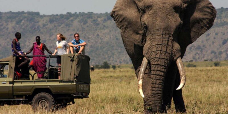 Half Day Tala Game Reserve & Natal Lion Park From Durban - Key Points
