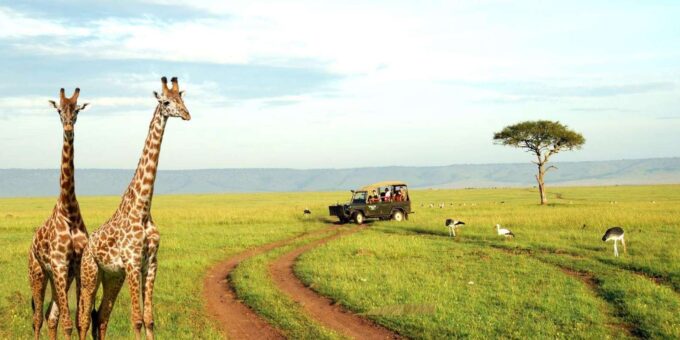 Half Day Tala Game Reserve & Natal Lion Park From Durban - Duration and Pricing
