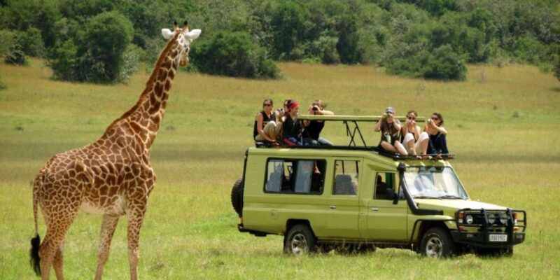 Half Day Tala Game Reserve & Natal Lion Park From Durban - Tour Logistics