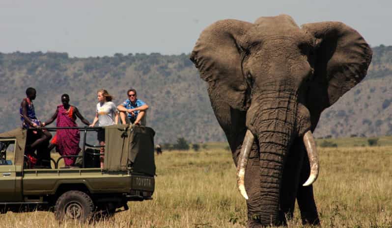 Half Day Tala Game Reserve & Natal Lion Park From Durban - Itinerary