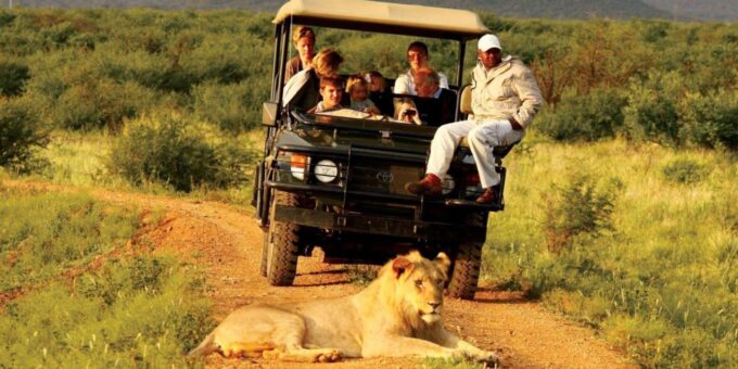 Half Day Tala Game Reserve & Natal Lion Park From Durban - Price and Duration