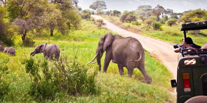 Half Day Tala Game Reserve & Natal Lion Park From Durban - Pickup and Accessibility