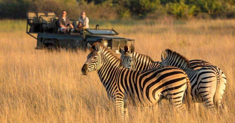Half Day Tala Game Reserve & Natal Lion Park Tour Fro Durban - Visiting Natal Lion Park