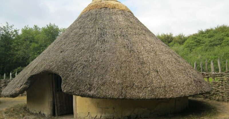 Half-Day Tala Game Reserve & Phezulu Safari Park From Durban - Itinerary and Activities