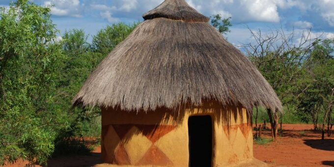 Half Day Tala Game Reserve + Phezulu Safari Park From Durban - Return Travel