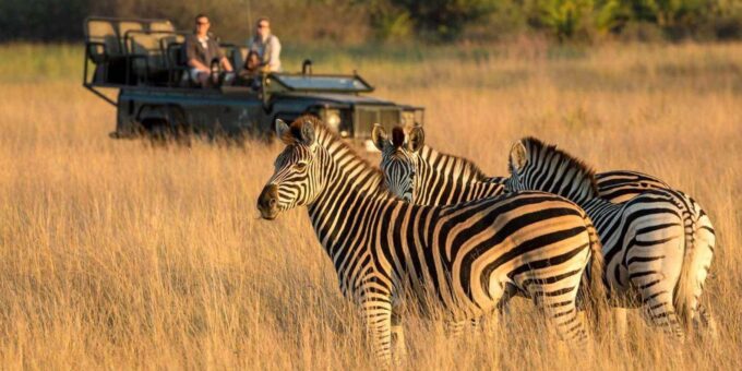 Half Day Tala Game Reserve + Phezulu Safari Park From Durban - Accessibility