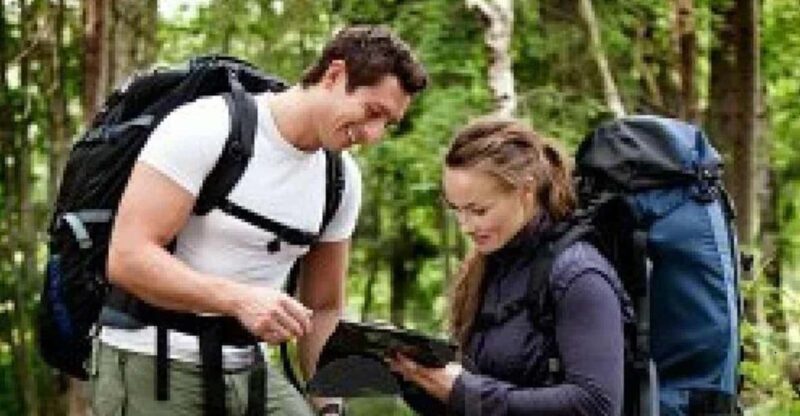 Half-Day Tala Game Reserve & Phezulu Safari Park From Durban - Itinerary Details
