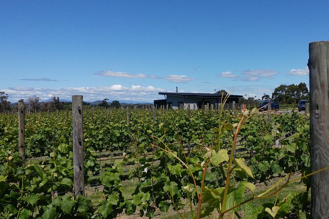 Half Day Tamar Valley Wine Tour - Booking and Inquiries