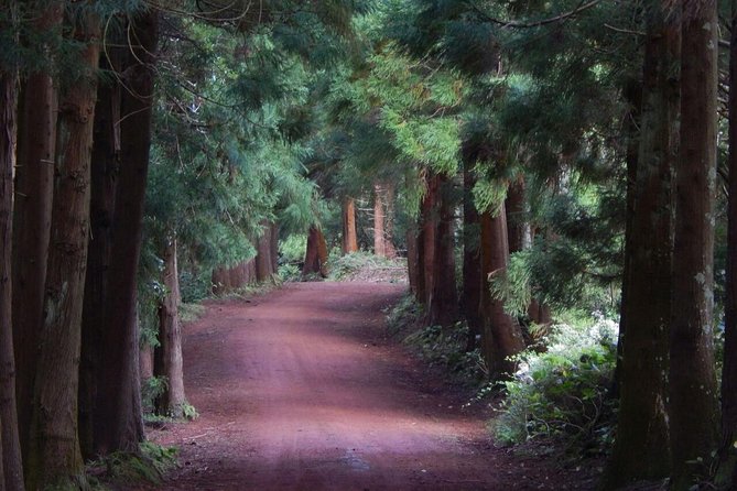 Half Day Terceira Island Tour by 4x4 - Booking and Communication