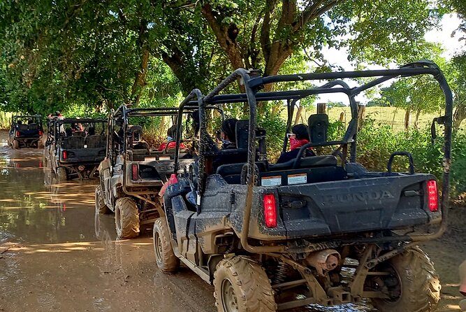 Half-Day TerraCross Adventure in Punta Cana - Host Response