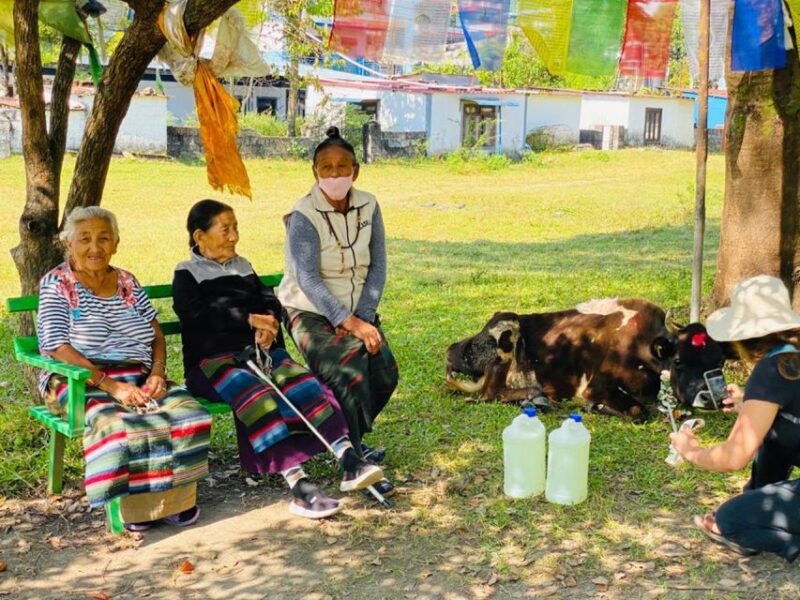 Half Day Tibetan Cultural Tour - Cultural Experience