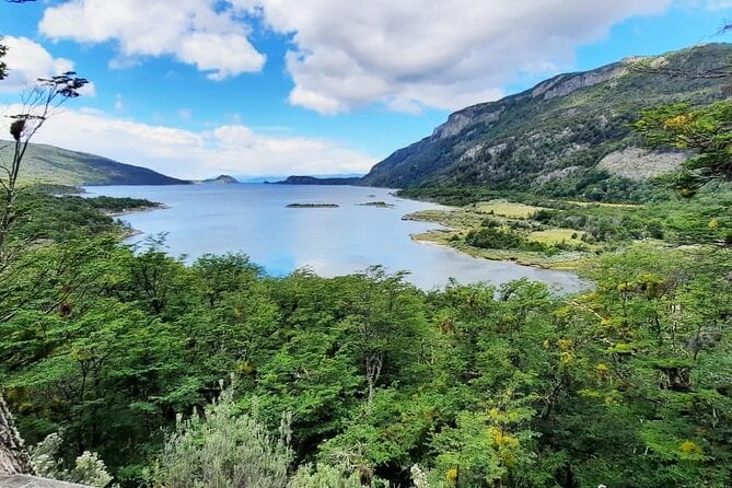 Half-Day Tierra Del Fuego National Park With Train - Train Experience
