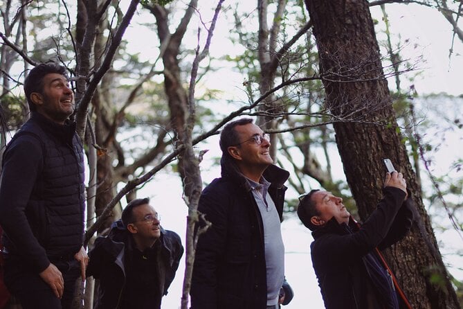 Half-Day Tierra Del Fuego National Park With Train - Key Attractions