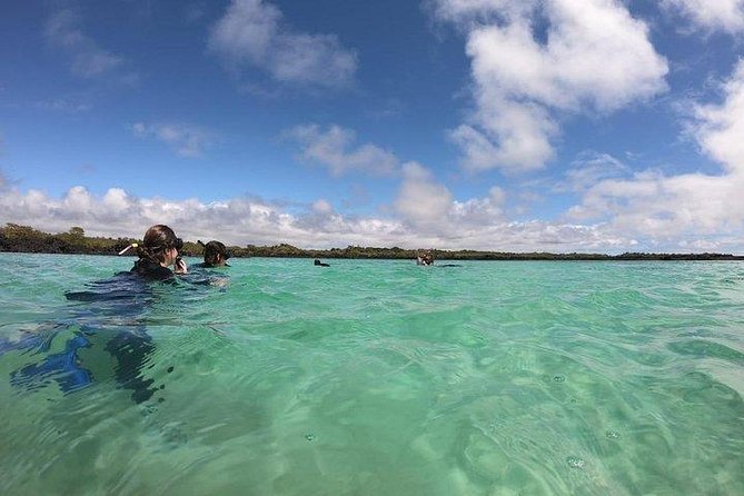 Half Day Tintoreras Tour From Isabela Island - Exploring Volcanic Formations