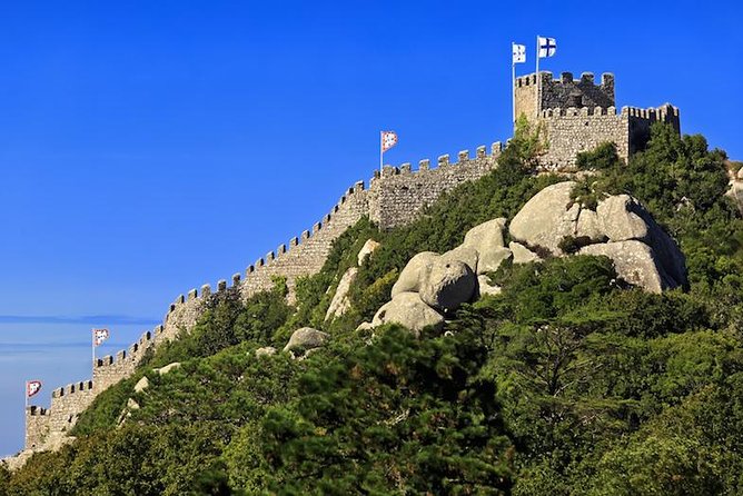 Half Day to Sintra With a Palace of Your Choice in Private Tour - Customer Feedback and Responses