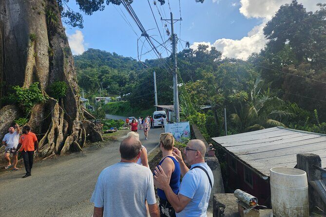 Half Day Tobago Tours with Transfers - The Itinerary Breakdown