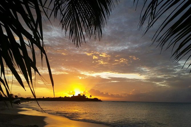 Half-Day Tour: A Taste of Paradise and History of Antigua - Traveler Recommendations and Experiences