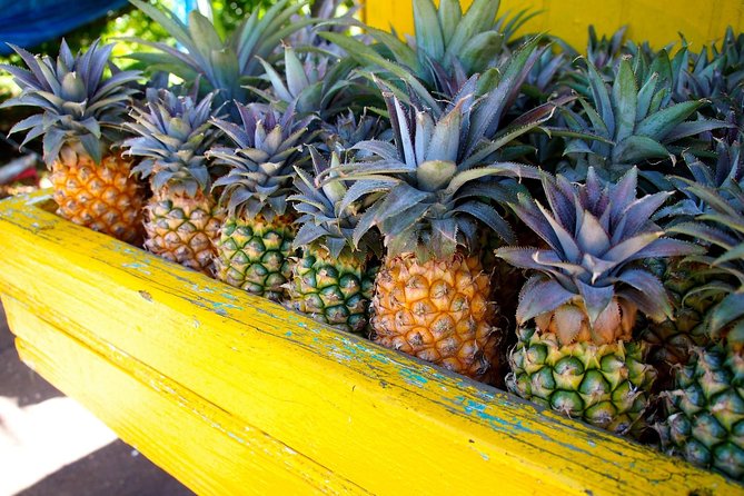 Half-Day Tour: A Taste of Paradise and History of Antigua - Logistics and Booking Details