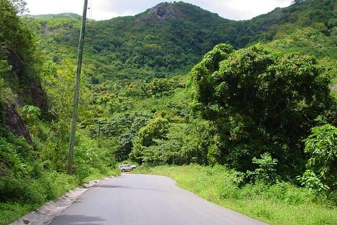Half-Day Tour: A Taste of Paradise and History of Antigua - Knowledgeable and Personalized Guides