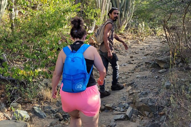 Half Day Tour Arikok National Park & Snorkel With Private Guide - Snorkeling Experience