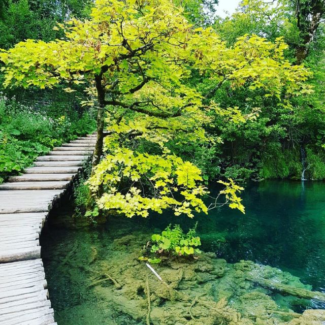 Half Day Tour Around Plitvice Lakes - Booking and Payment