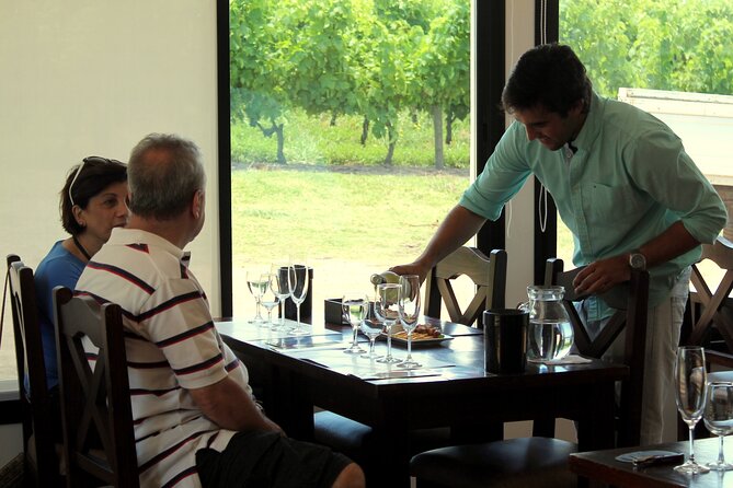 Half Day Tour at Pizzorno Winery With Lunch and Wine Tasting - Winery Background and Focus