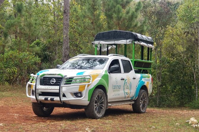 Half Day Tour Bird Watching in the Sierra De Bahoruco - Tour Overview