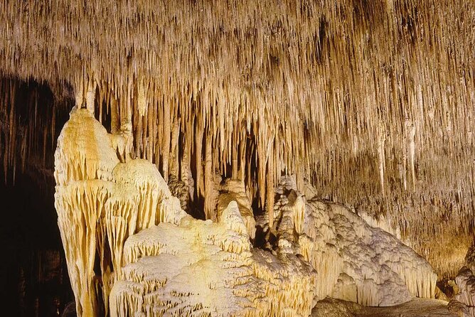 Half Day Tour Bus to the Caves of Drach - Feedback and Recommendations