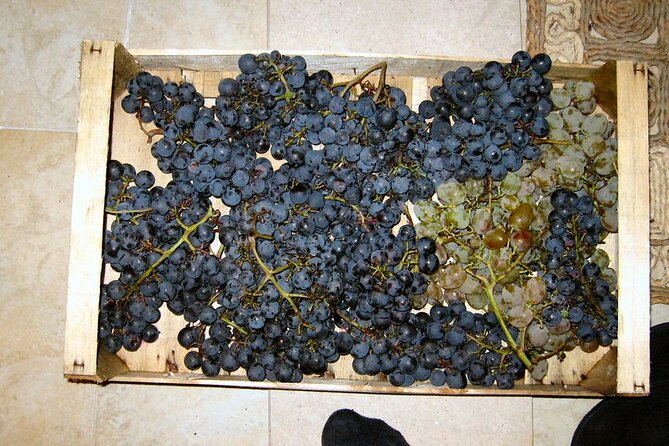Half Day Tour - Deep and Dark Red Wine of Pelješac - Sightseeing in Ston