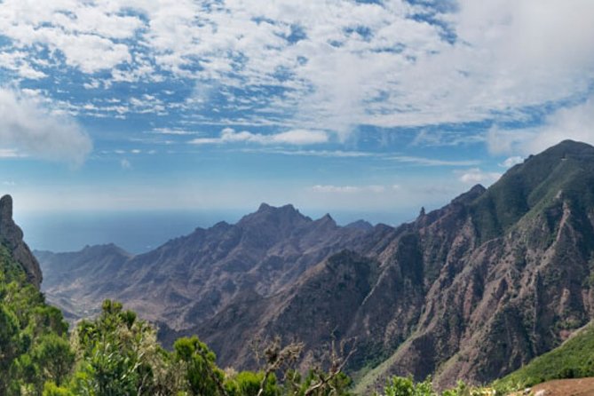 Half Day Tour Discovering Anaga Tenerife - Tour Overview