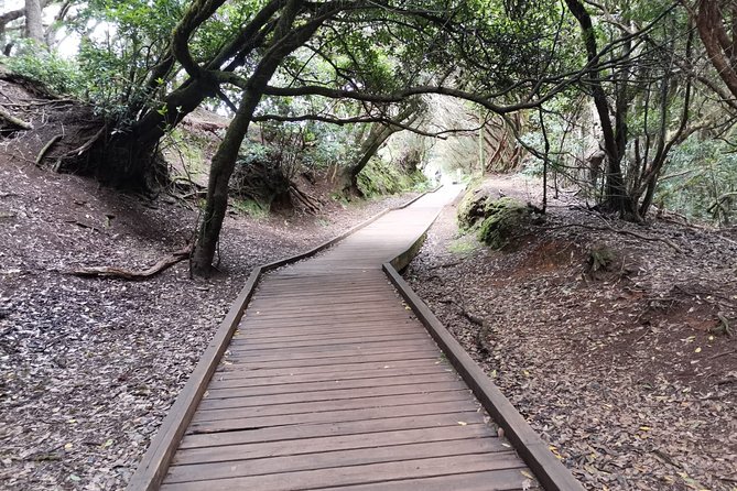 Half Day Tour Discovering Anaga Tenerife - Customer Feedback