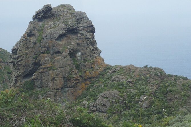 Half Day Tour Discovering Anaga Tenerife - Highlights of Anaga
