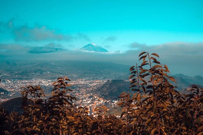 Half Day Tour Discovering Anaga Tenerife - Transportation and Logistics