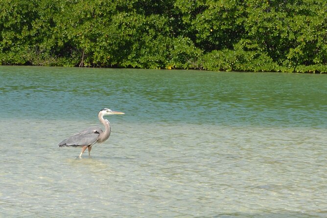 Half-Day Tour Discovering Sian Ka'an With Lunch - Additional Information