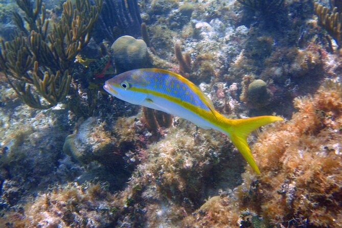 Half-Day Tour Discovering Sian Ka'an With Lunch - Reviews