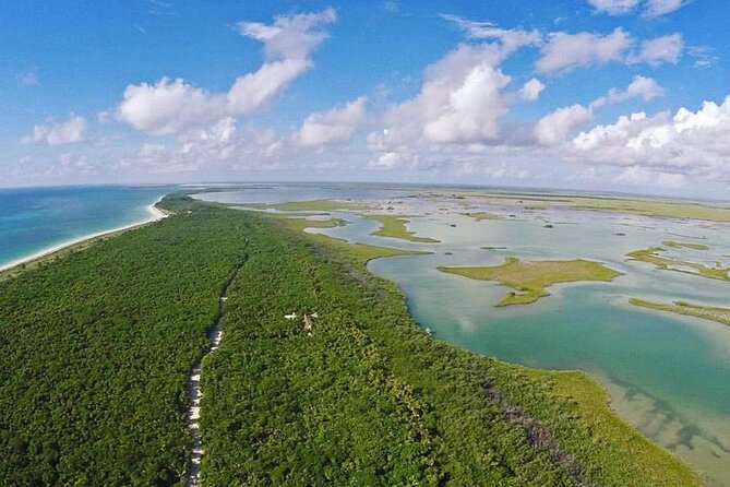 Half-Day Tour Discovering Sian Ka'an With Lunch - Exploring the Wetlands