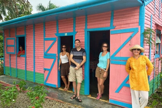 Half-Day Tour: Dominican Discovery Of a Culture - What to Expect