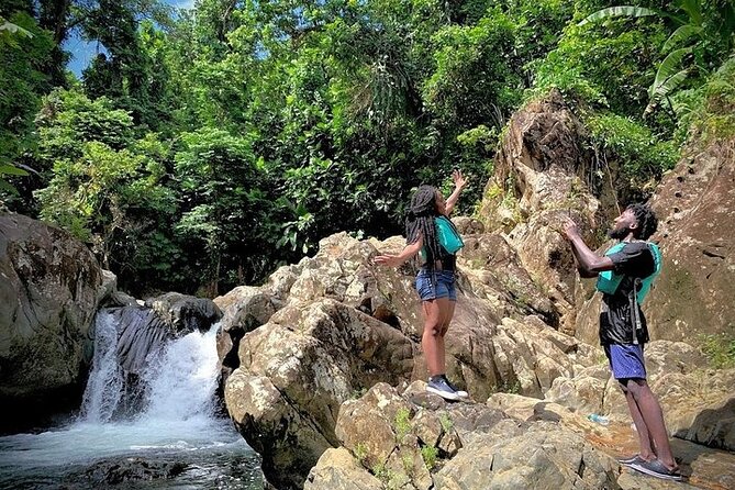 Half-Day Tour: El Yunque Rainforest and Waterslide Adventure - Professional Local Guides
