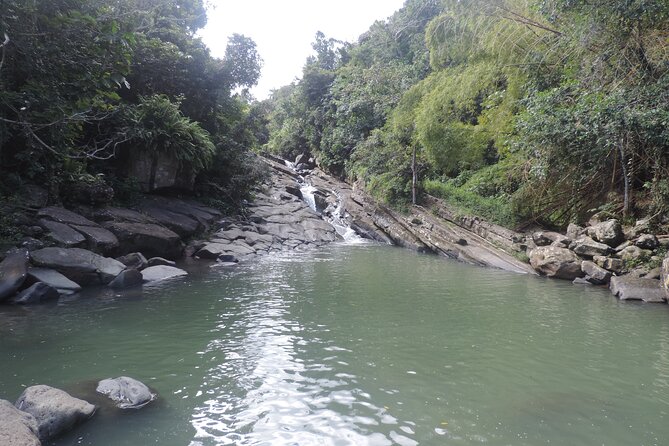 Half-Day Tour: El Yunque, Waterslides, and Luquillo Beach - Itinerary and Inclusions