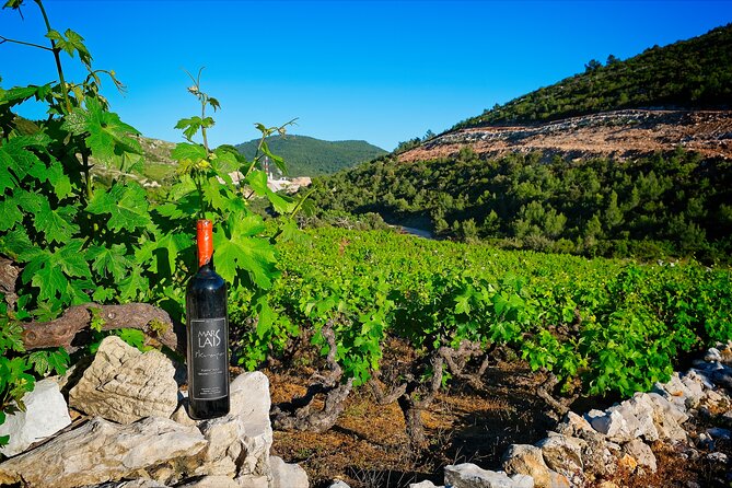 Half-Day Tour From Dubrovnik to Konavle With Wine Tasting - Winemaking Traditions of Konavle