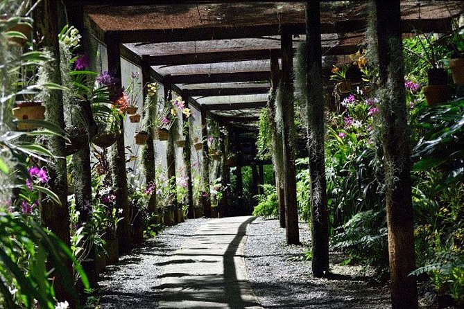 Half Day Tour From Nadi Includes Local Markets, Orchid Gardens and Local Village - Shore Excursions - Pricing and Child Rates