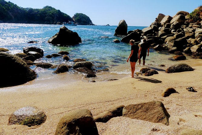 Half Day Tour Hiking La Roqueta Island and Lunch - Pickup and Transportation