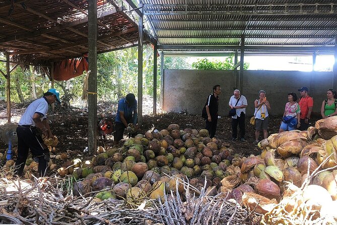 Half-Day Tour in Mekong Nam Bo Ben Tre - Meeting and Pickup