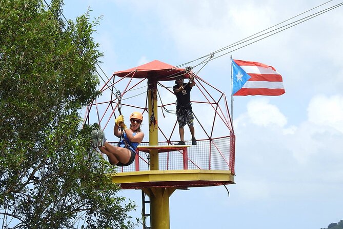 Half Day Tour in Rainforest Zipline Park With Transportation - Guest Reviews and Feedback