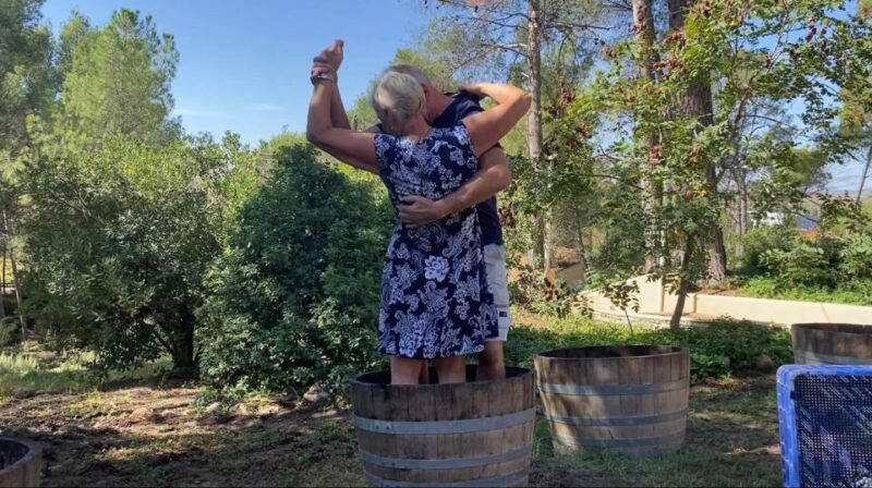 Half-Day Tour in Requena With Wine Tasting and Lunch! - Highlights