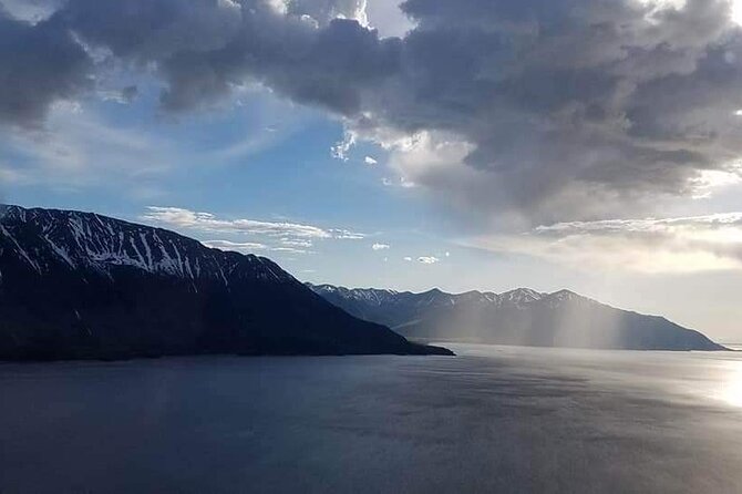 Half Day Tour in Turnagain Arm With Stop for Wildlife and Scenery - Accessibility Information