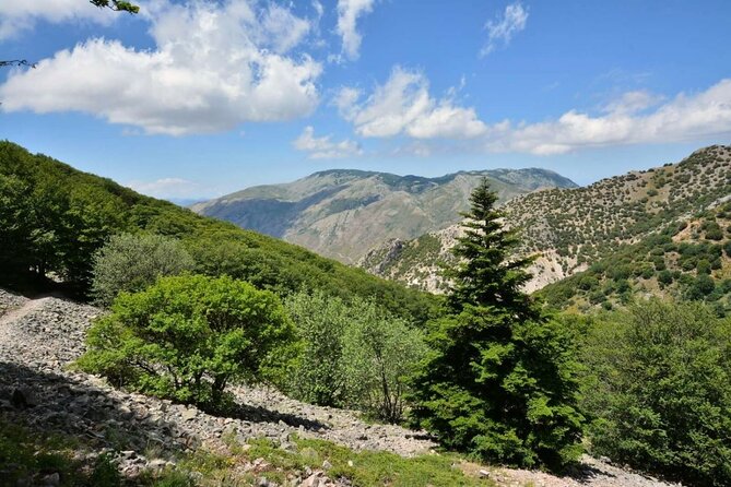 Half Day Tour in Typical Villages From Cefalù - Accessibility