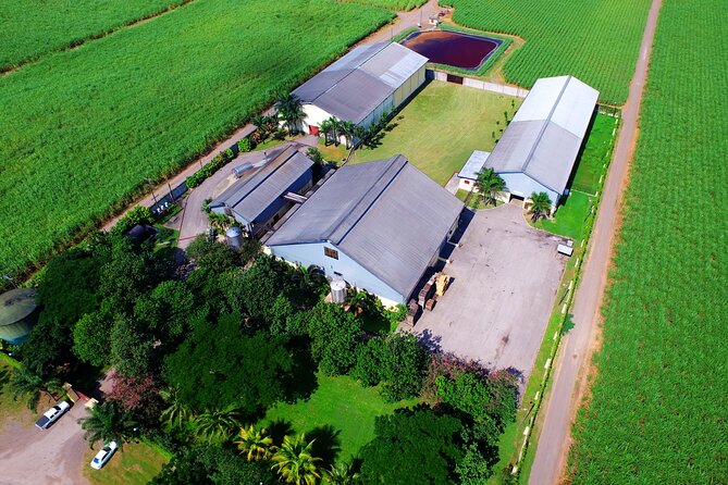 Half Day Tour in Worthy Park Rum Estate - Tour Highlights and Inclusions
