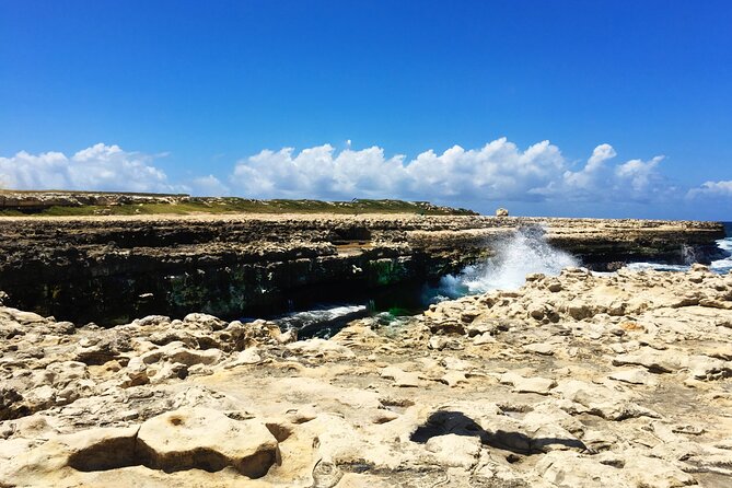 Half-Day Tour: Island Safari Adventure From St. Johns - Health Considerations