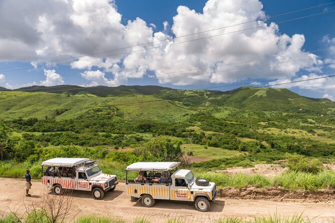 Half-Day Tour: Island Safari Adventure From St. Johns - Reviews Feedback